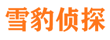 黄南找人公司